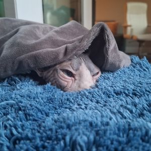 Meet your Posher, Danila